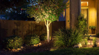 Uplights surrounding a small tree to create the shadowing lighting technique against a fence.