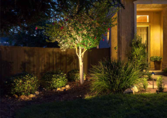 Uplights surrounding a small tree to create the shadowing lighting technique against a fence.