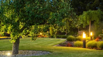 Large pair tree surrounded by a well manicured lawn and landscape illuminated by low voltage lights, including bollard lights, in-ground lights, and path lights.