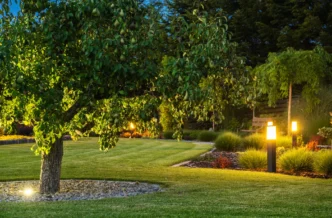 Large pair tree surrounded by a well manicured lawn and landscape illuminated by low voltage lights, including bollard lights, in-ground lights, and path lights.