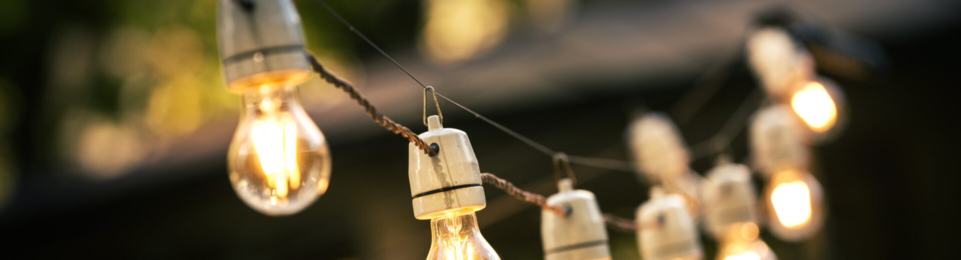 Outdoor string light bulbs suspended in backyard.