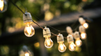 Outdoor string light bulbs suspended in backyard.