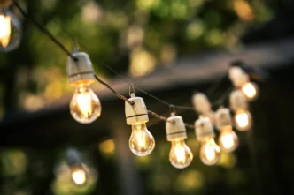 Outdoor string light bulbs suspended in backyard.