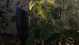 Alliance Lighting Black Brass uplighting fixture gently illuminating foliage in a home garden.