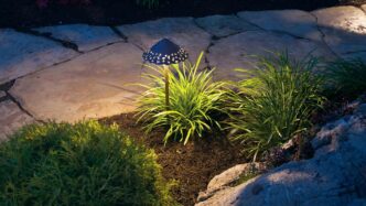 Perforated antique path light gently illuminating a residential sidewalk from an adjacent plant bed.