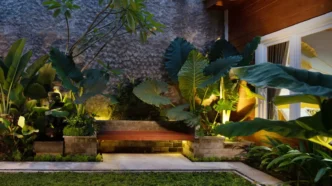 Backyard courtyard or patio anchored by a back-less wood bench surrounded by a festoon of green plants.