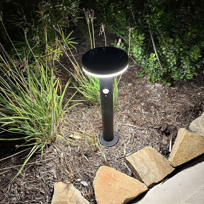 Roswell solar path light shining in garden at night.